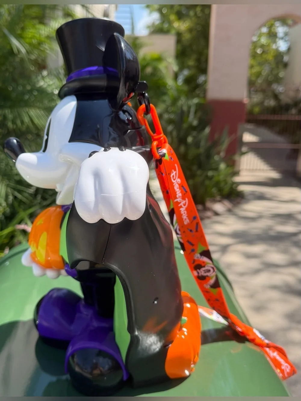 Disney parks 2026